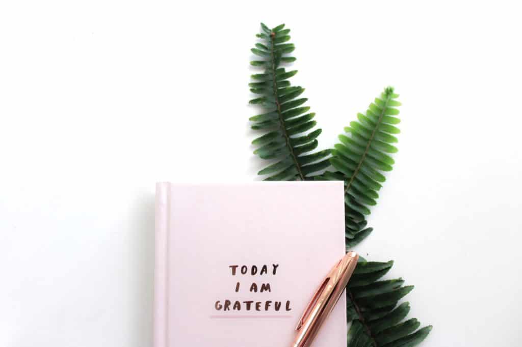 Grateful notebook with plant and pen